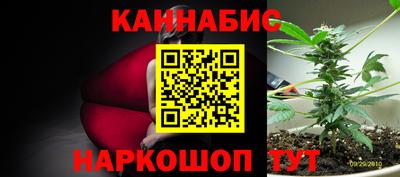 спиды Заводоуковск