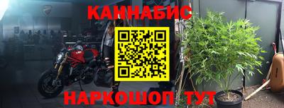 шишки Жуковский