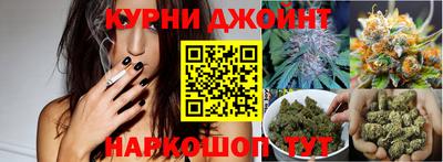 спиды Заводоуковск