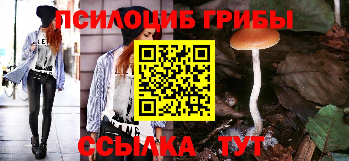 Конаково  Галлюциногенные грибы мицелий  Вход с VPN 