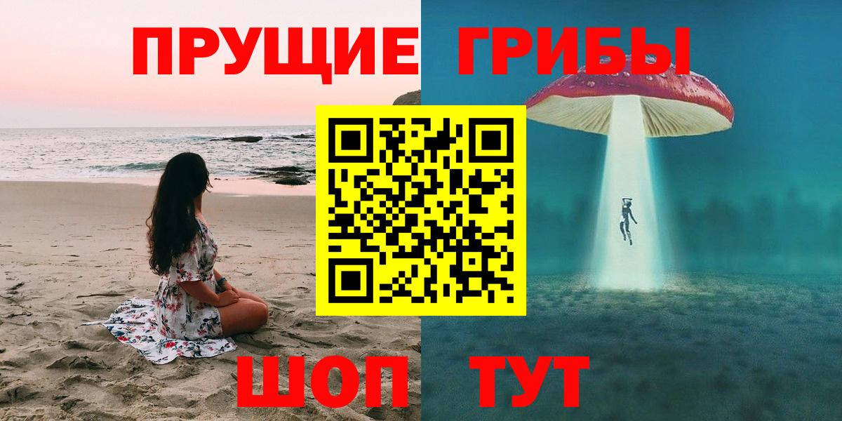 Псилоцибиновые грибы Cubensis Конаково